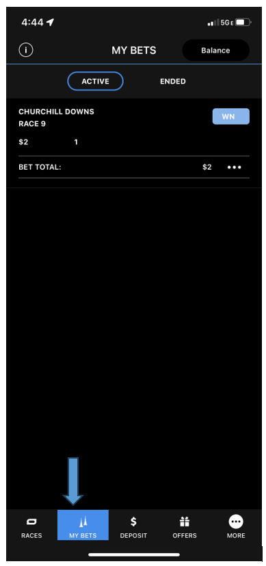IOS-My Bets.PNG